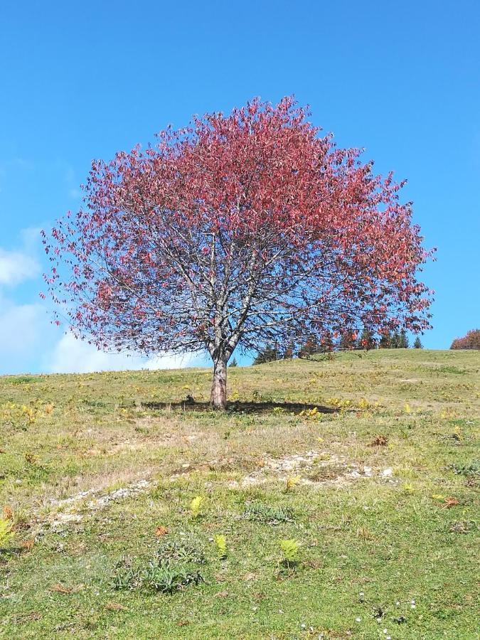 Apartmán Zbogar Rateče Exteriér fotografie